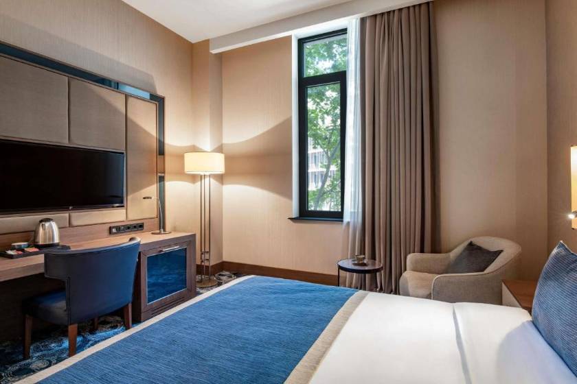 Tbilisi Philharmonic Hotel by Mercure - Standard Double Room