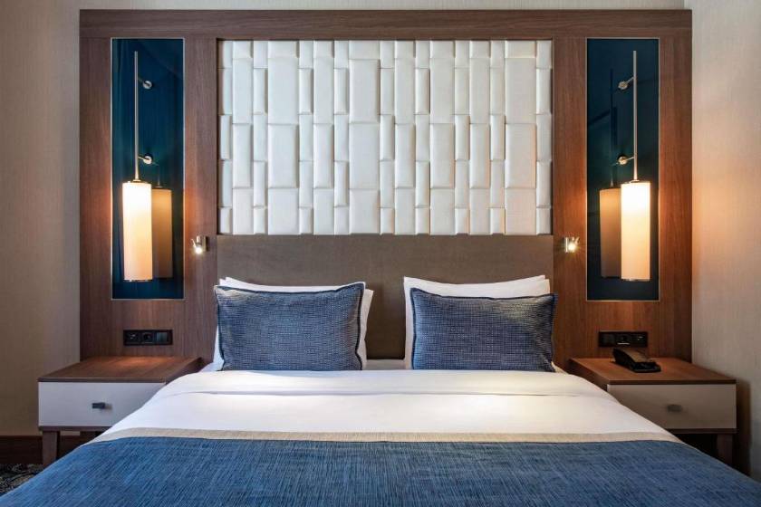 Tbilisi Philharmonic Hotel by Mercure - Standard Double Room