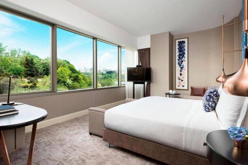 The Ritz-Carlton, Istanbul at the Bosphorus Istanbul - King Room with Park View