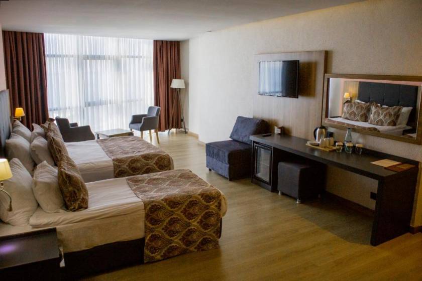 Euphoria Batumi Convention & Casino Hotel - Superior Triple Room