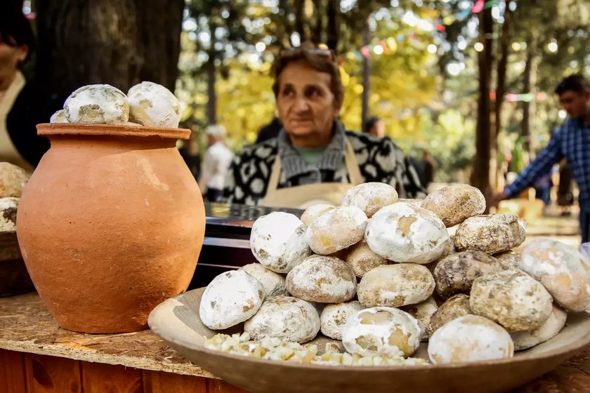 جشنواره پنیر تفلیس