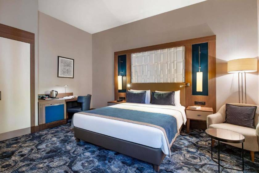 Tbilisi Philharmonic Hotel by Mercure - Standard Double Room