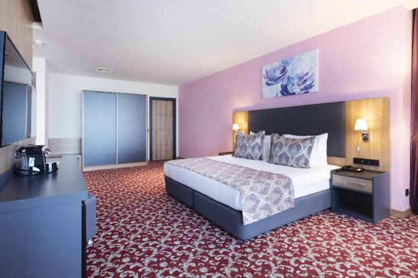 Euphoria Batumi Convention & Casino Hotel - Superior Double Room