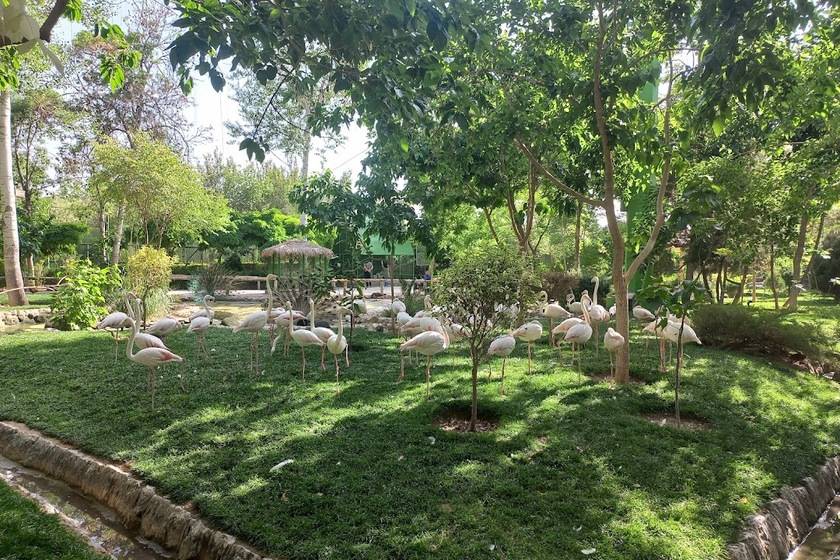 باغ پرندگان