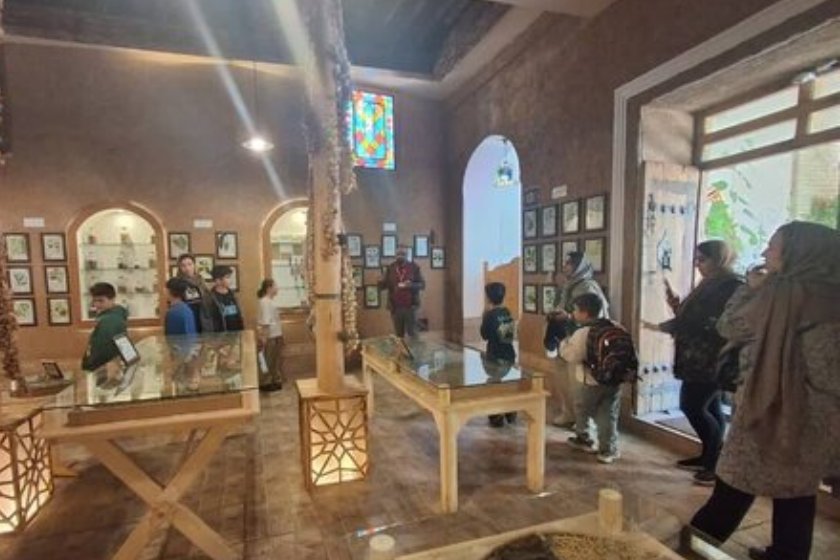  برگزاری تور گردشگری مادر و کودک در زنجان