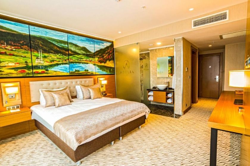 Aselia Hotel Trabzon - Deluxe King Room with City View