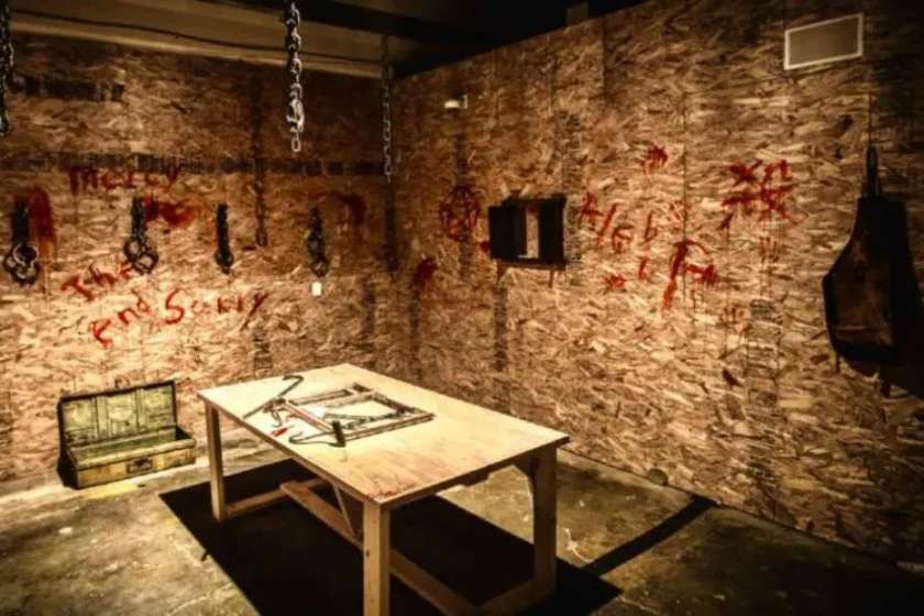 مجموعه دددلی مشهد 