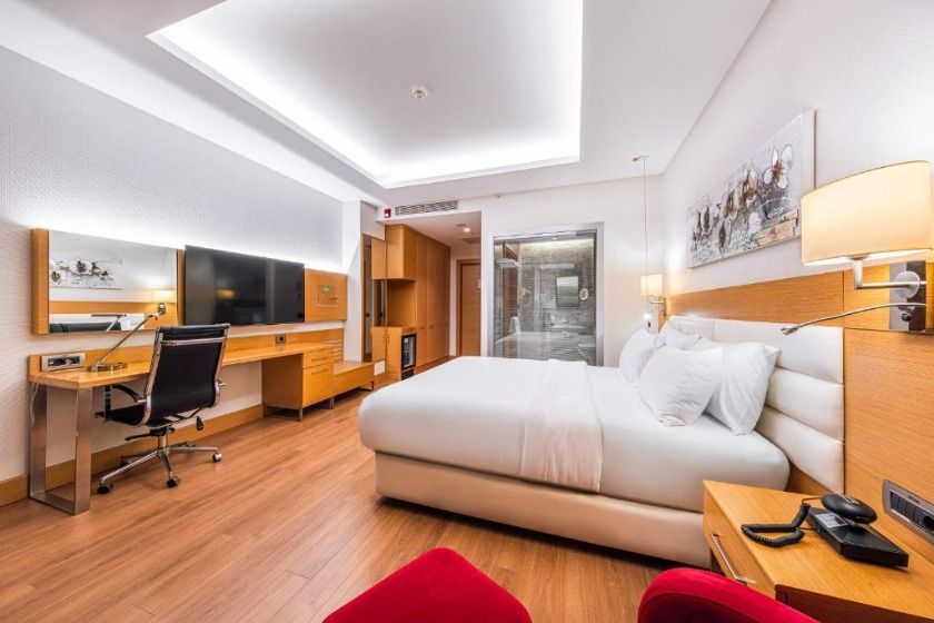 Holiday Inn Ankara - Cukurambar, an IHG Hotel Ankara - Standard King Room - Disability Access