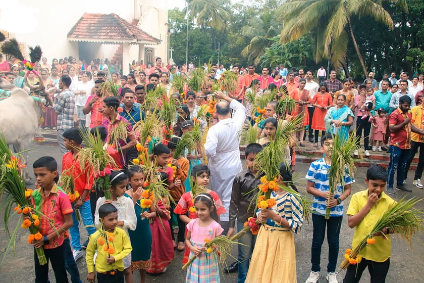 فستیوال آگرا