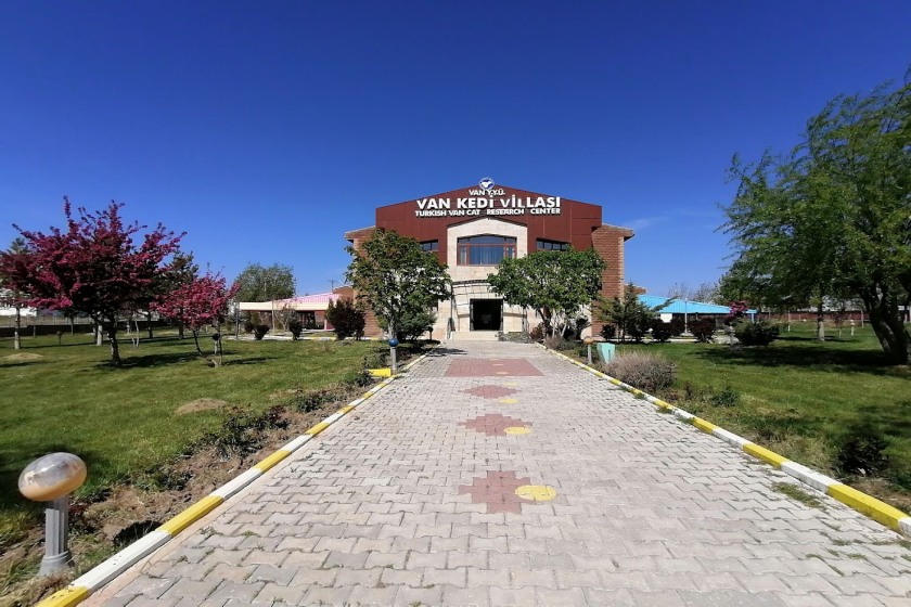 خانه گربه های وان