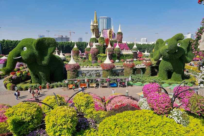 نکات بازدید از باغ گل معجزه دبی