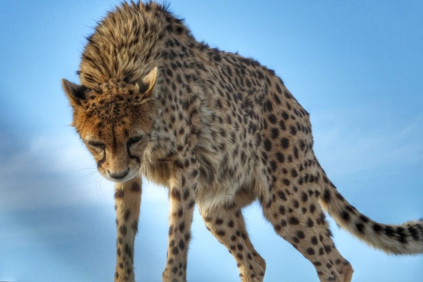 ۱۳ آذر؛ روز جهانی حفاظت از محیط زیست