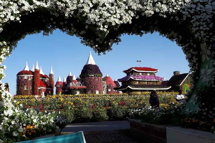 حقایقی جالب درباره باغ گل معجزه دبی