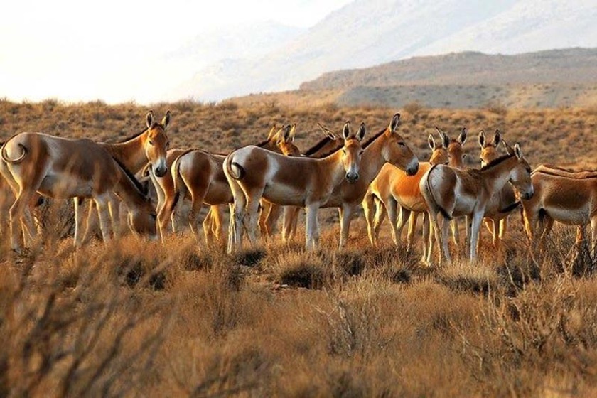 نقش نمادین روز جهانی محیط زیست در ارتقای آگاهی و مسئولیتپذیری جهانی