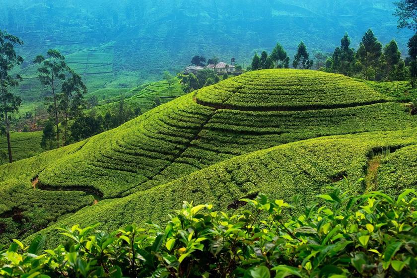 تور زمستان نورا الیا