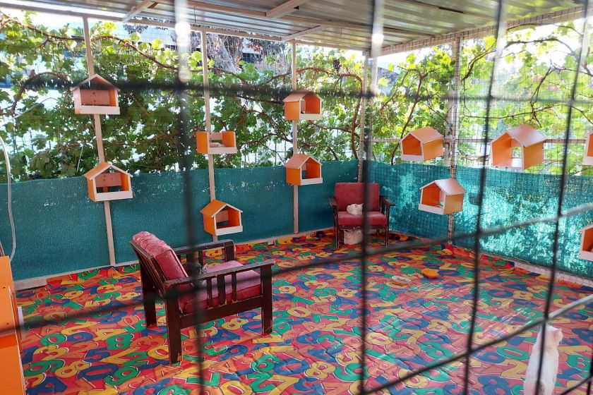 امکانات خانه گربه های وان