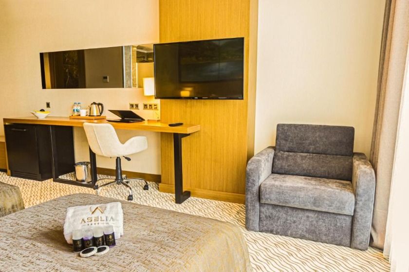 Aselia Hotel Trabzon - Deluxe King Room with City View