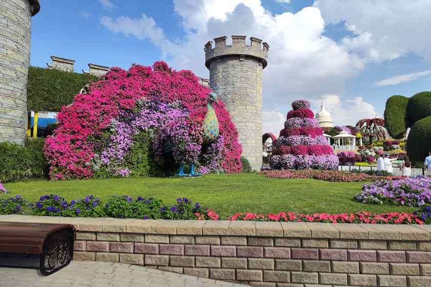 اطلاعات بازدید از باغ گل معجزه دبی