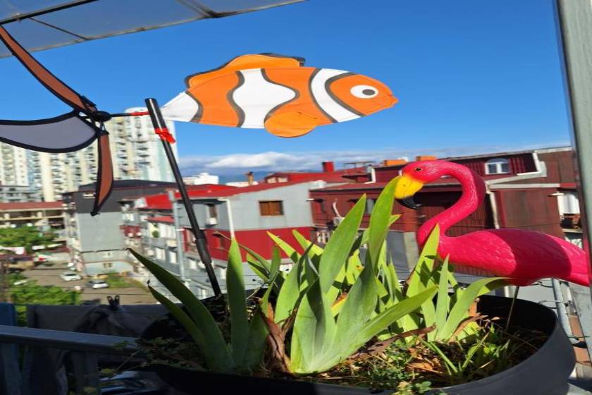 Chase Dream Hostel - facade