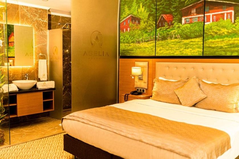 Aselia Hotel Trabzon - Deluxe King Room with City View