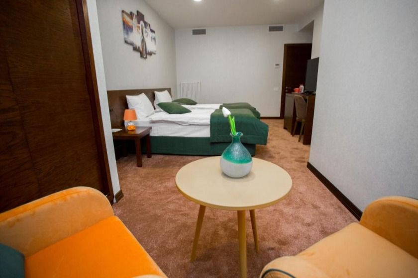 Da Vinci Boutique Hotel baku - Standard Twin Room