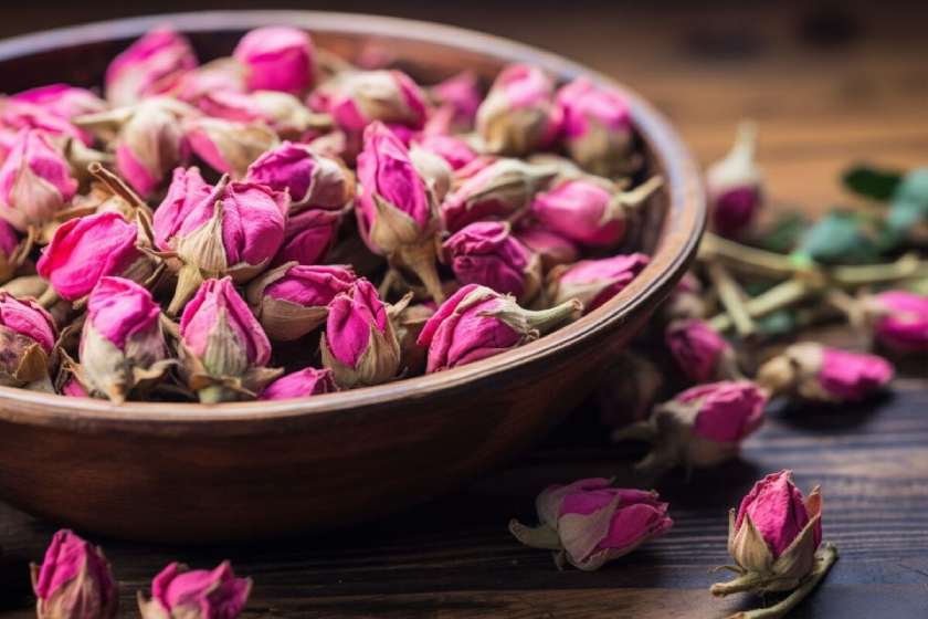 ثبت جهانی گل محمدی به نام عربستان