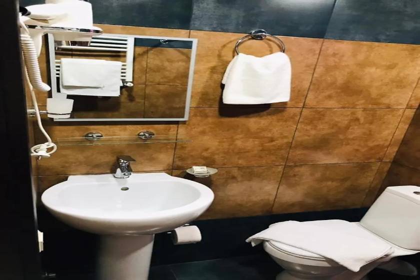 Batumi West Hotel - Standard Twin Room