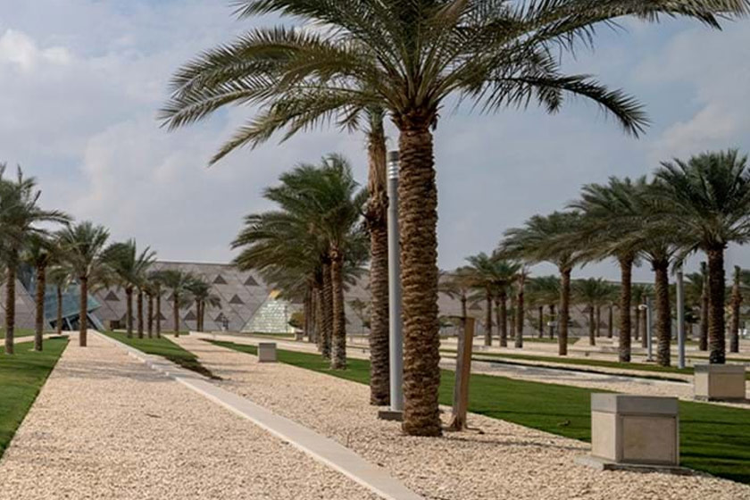 باغ نخل‌ها