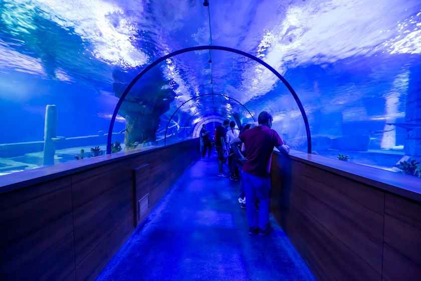 آکواریوم آکوا وگا آنکارا . منبع عکس: گوگل مپ. عکاس: Aqua Vega Akvaryum