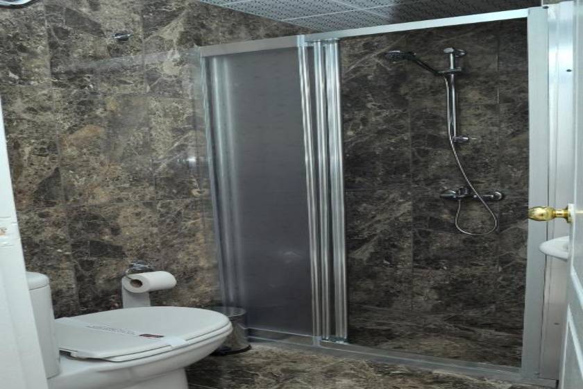 Lion City Hotel Ankara - Standard Double Room