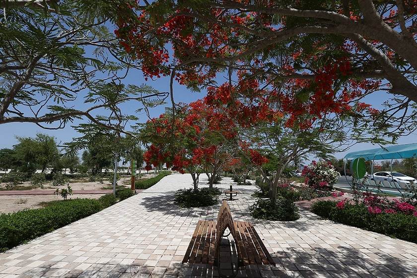 باغ راه ایرانی کیش