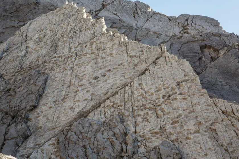 کشف ردپای دایناسورها در کوه های آلپ