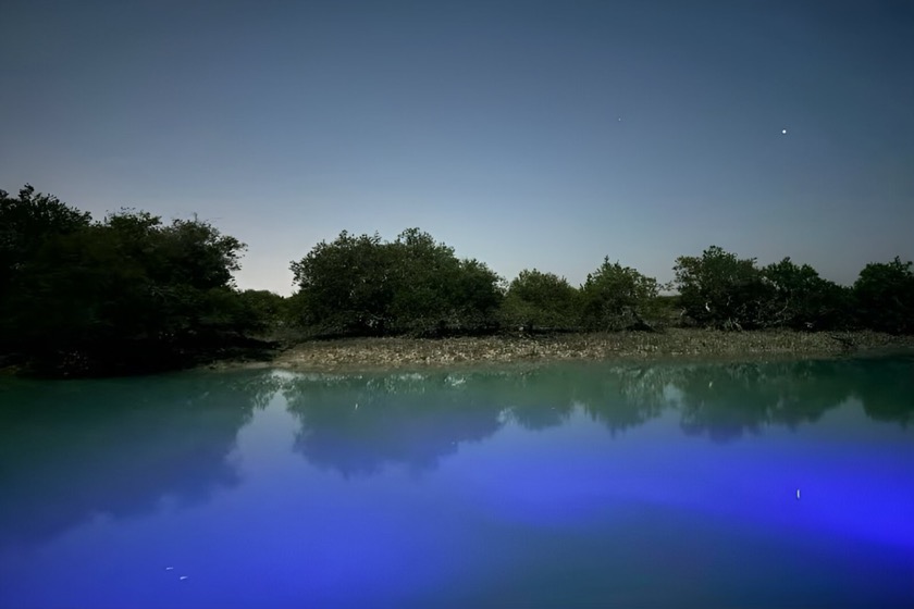 جنگل های حرا قشم. منبع عکس: گوگل مپ. عکاس: صادق طاهری