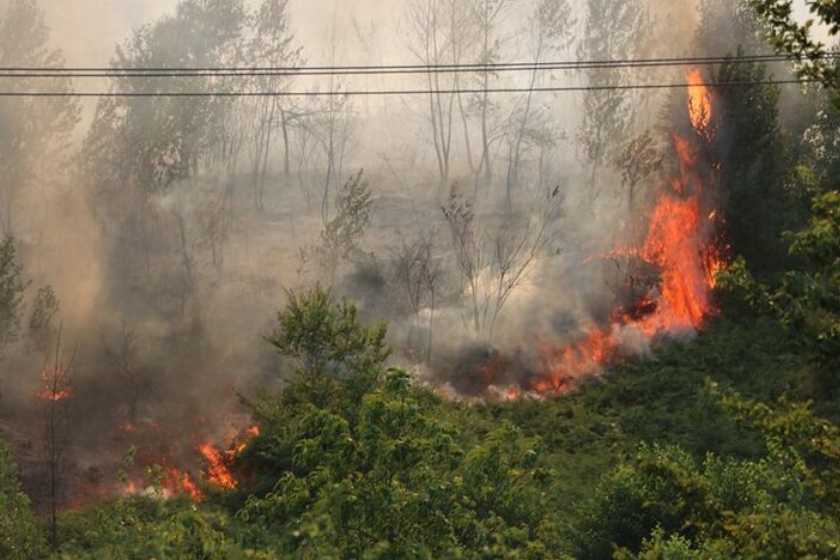 جنگل‌های هیرکانی گلستان از آتش جان سالم به در بردند