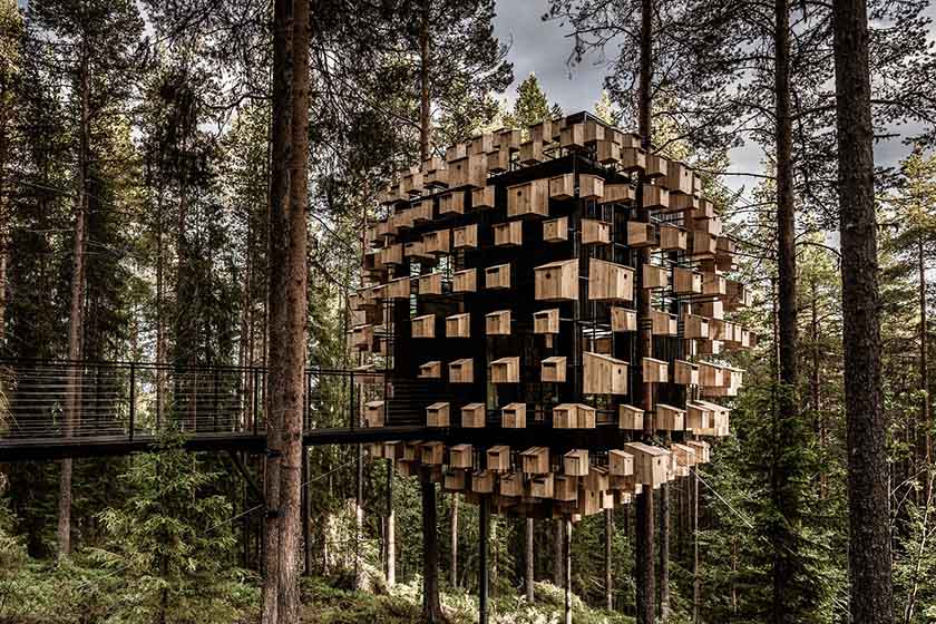 تریهتل | Treehotel