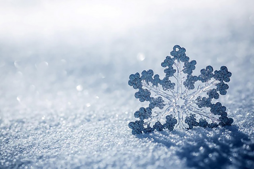 ۲۳ دی ماه؛ جشن دی به دین روز (چهارمین جشن دی ماه)