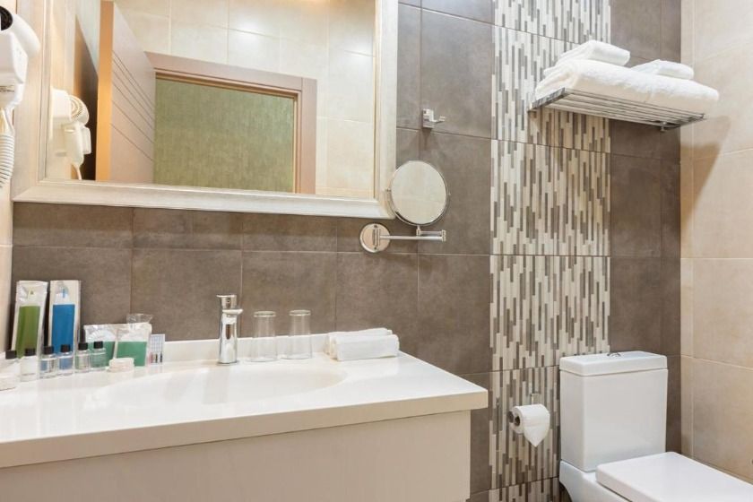 Dave Hotel Yerevan - Standard Double Room