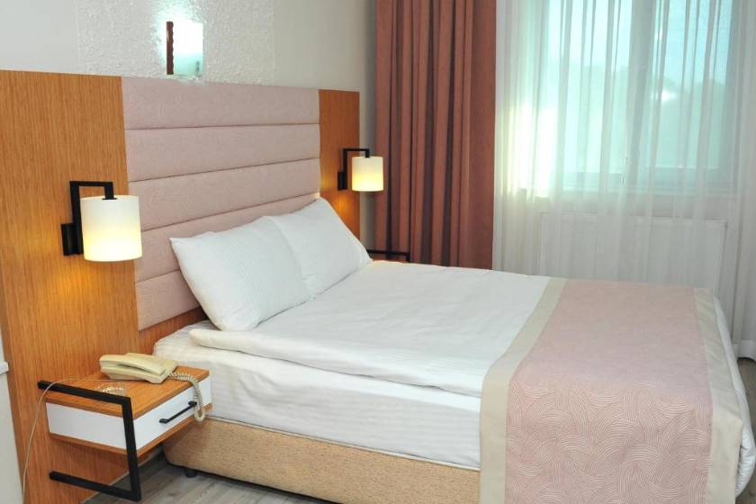 Lion City Hotel Ankara - Standard Double Room