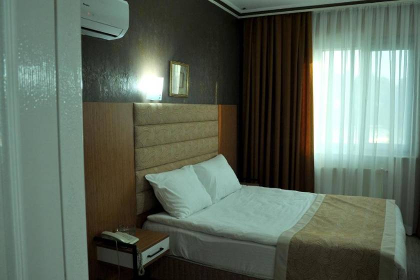 Lion City Hotel Ankara - Standard Double Room