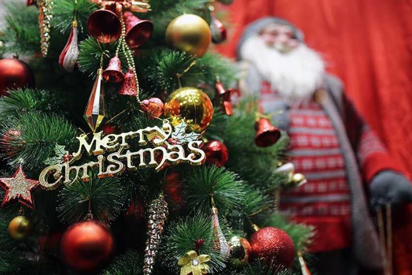 رونمایی از بلندترین درخت کریسمس جهان در انگلیس