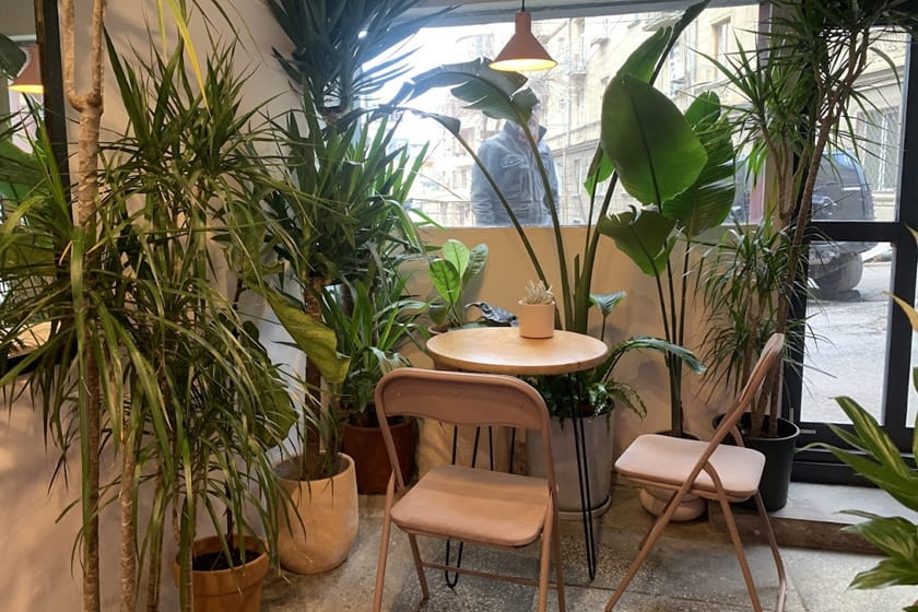 کافه پلنت لاورز 