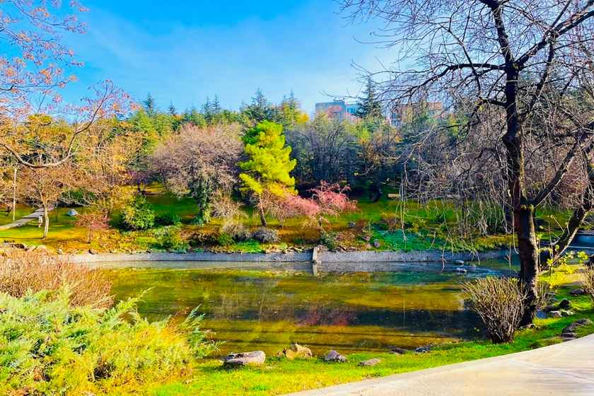 باغ گیاه شناسی آنکارا . منبع عکس: گوگل مپ. عکاس: Minu Minu