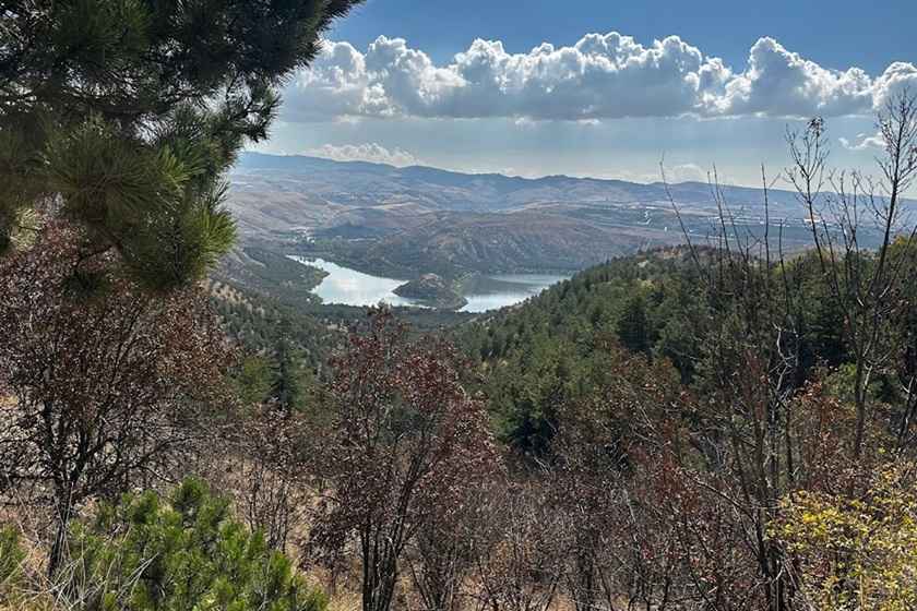 جنگل متو آنکارا . منبع عکس: گوگل مپ. عکاس: Ilhan Aksoy