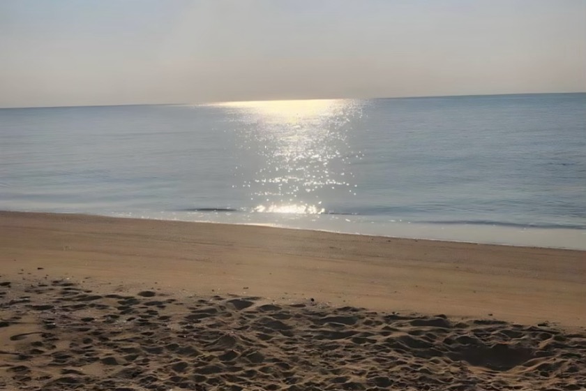 ساحل شیب دراز. منبع عکس: گوگل مپ. عکاس: پگاه حکیمپور