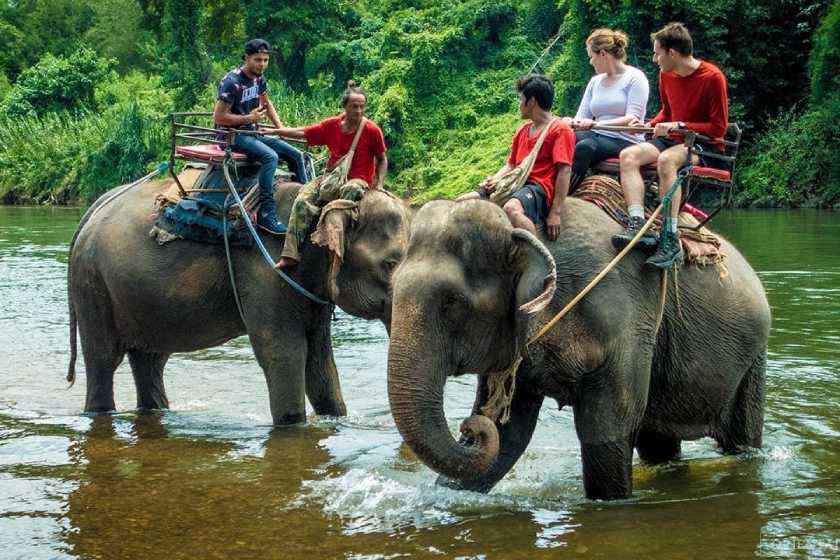 اندونزی سوءاستفاده از فیل‌ها برای جذب گردشگر را متوقف می‌کند