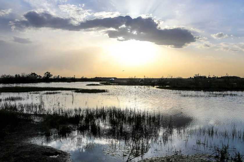 شروع فرآیند آبگیری تالاب صالحیه؛ تنها تالاب استان البرز