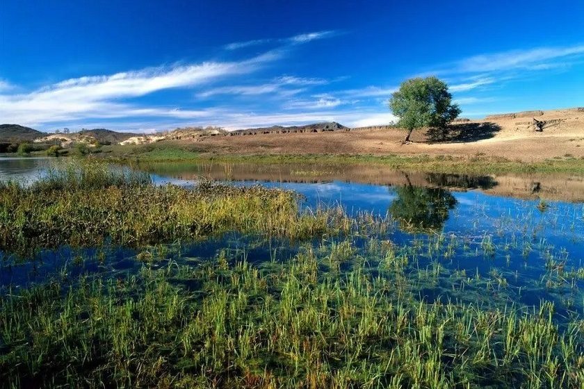  آغاز اقدام‌ های میدانی برای نجات تالاب فارس