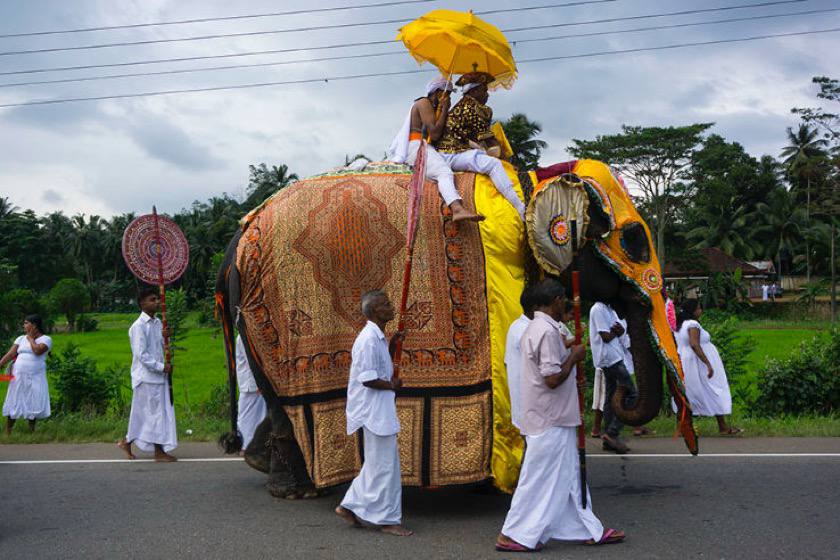 جشن دوروتو پویا در کندی