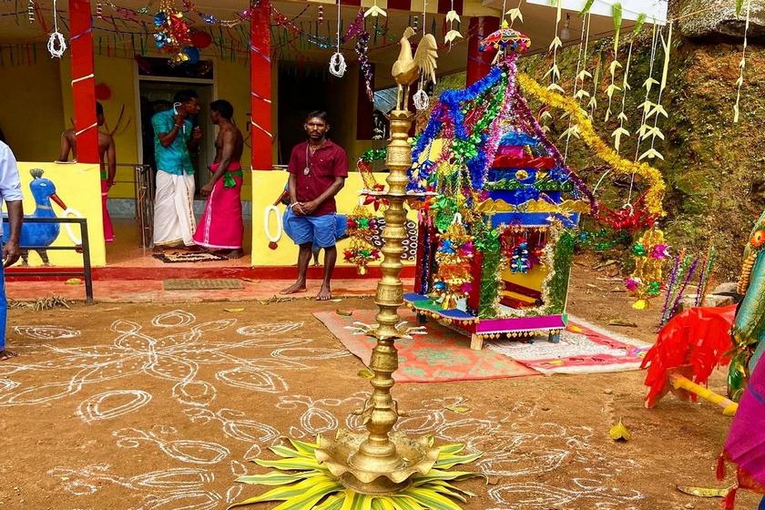 جشنواره برداشت محصول تای پونگال کلمبو