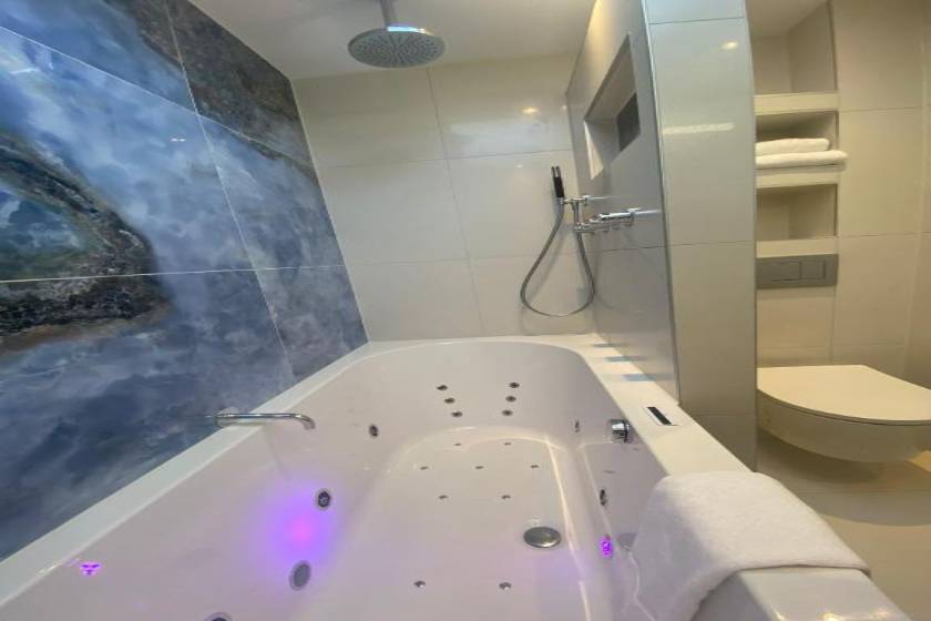 Alp Hotel - Twin Room with Spa Bath, Balcony and Garden View